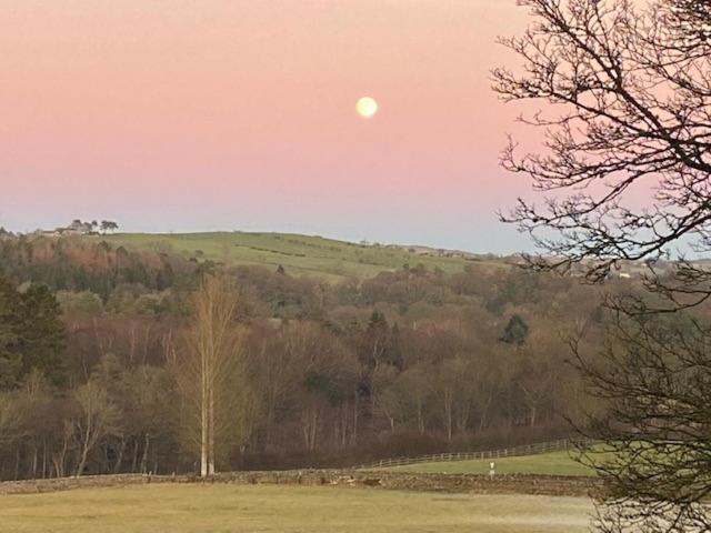 The Bothy At Ivy Cottage Haltwhistle Esterno foto